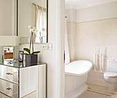 Domestic room combined with white bathroom