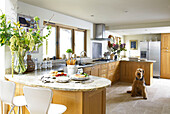 Dog sits in spacious fitted kitchen of Somerset new build in rural England UK