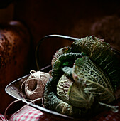 Trug of freshly picked Savoy cabbages in a garden shed