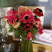 Close up of Red Anenome flower display on a bedside table
