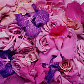 Display of pink purple and lilac flower petals