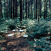 Fold away picnic table in a deep wooded forest