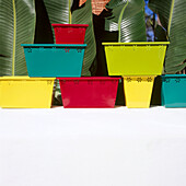 Colourful plant pots on a white wall in a garden