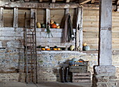 Pumpkin and squashes in rustic barn interior, United Kingdom