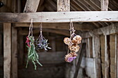 Dried flowers and rosemary hang from timber beam in rustic barn interior, United Kingdom