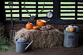 Pumpkins and hay bales in rustic barn interior, United Kingdom
