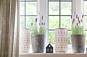 Lavender with candle holders on windowsill in Surrey cottage England UK