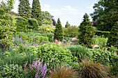 Variety of shrubs and trees in Haslemere garden, Surrey, UK