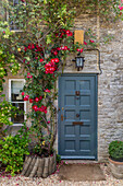 Climbing rose and front door of old stone cottage Cirencester Gloucestershire UK