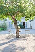 Vintage-Stühle im Schatten eines Baumes, Mallorca, Spanien