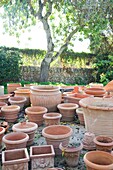 Assorted terracotta garden pots below tree with dry-stone wall, Majorca, Spain