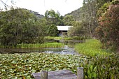 Building on hillside of wetland habitat with waterlilies and rushes