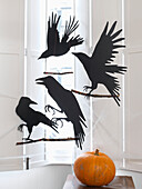 Black birds on twigs with pumpkin Brighton, East Sussex UK