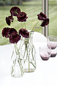 Zwei Vasen mit Blumen auf einem Tisch mit Gläsern