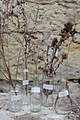 Dried flowers in labelled pots, St Lawrence, Isle of Wight, UK