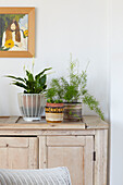 Framed artwork and houseplants on pale wooden sideboard in Ryde living room Isle of Wight, UK