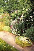 Garden path beside flower bed with bag for collecting garden clippings