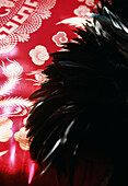 Detail of black feathers against bright pink embroidered Chinese silk