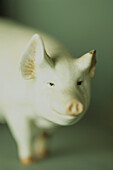 White ceramic pig