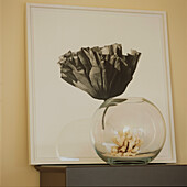 Bowl and flower picture display