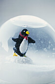 Penguin snow scene