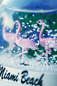 Flamingoes in Miami Beach souvenir snowscene