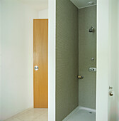 Modernes Badezimmer mit begehbarer Dusche in hellgrauem Mosaik