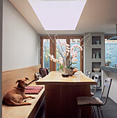 Pet dog on wooden bench beside solid wood dining table in contemporary kitchen
