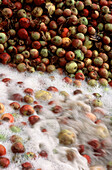 Äpfel werden in einer Fabrik im Wasser gewaschen