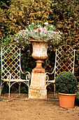 Two painted rusty cast iron garden chairs in formal garden with pot plants