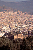 View of the City and Medina in Fez Morocco