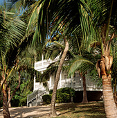 Außenansicht eines traditionellen Holzhauses mit Palmen auf den Bahamas