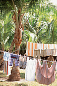 Washing line with colourful summer clothes drying in the sunshine amongst the palms