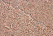 Pink beach sands with a birds foot print 