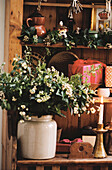 Still life of seasonal flowers and Christmas presents placed on a dresser
