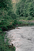 Kinder schwimmen im Fluss