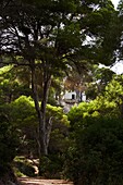 Menorca Scenes - Building hidden in lush foliage