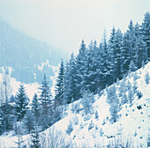 Snowy landscape in the Dolomite mountains