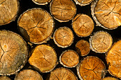 Detail of logs tightly stacked in a wood pile