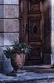 Old wooden door with flower in stone pot