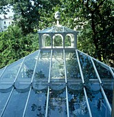 Glass dome among trees