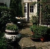 Back yard with potted plants and outdoor table and chairs