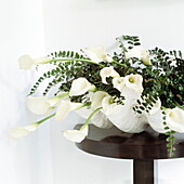 Calla or Arum Lilies (Feminine beauty and delicacy) Ferns-Asplenium trichomanes (fascination)