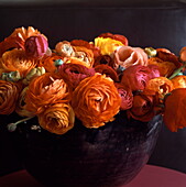 Mixed Ranunculus ( Dazzling You are radiant with charms You are rich in attractions)