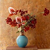 Pantoffel-Orchideen (kapriziöse Schönheit) Mauerblümchen (Treue in der Not)