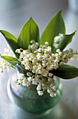 Lily of the valley (Return of happiness)