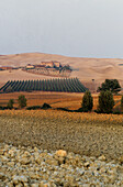 Bauernhaus auf einem Hügel mit Blick auf gepflügte Felder und Olivenhaine in der Nähe von Navarra in Rioja Spanien