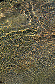 Water ripples over fine sand