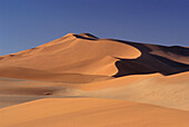Dune 45 near Soususvlei in the Namib-Naukluft Park Namibia