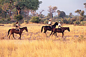 Horseback safari guides from the Macateer Safari Camp in in the Okavango Delta in Botswana